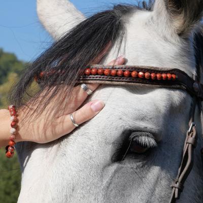 Frontal cuir et pierre 