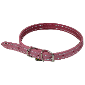 Collier de chien Rose