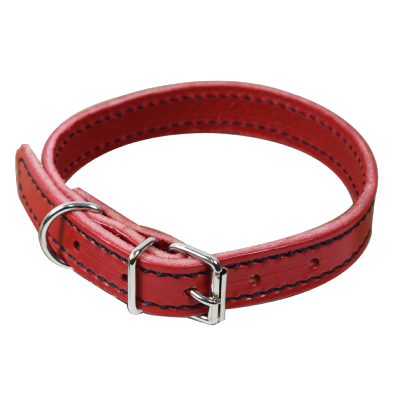 Collier de chien Rouge