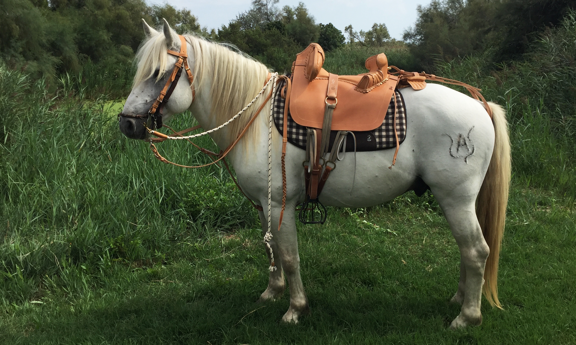 Panneau de selle camargue