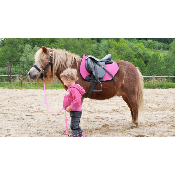 Tapis de selle Wool Pony Sport