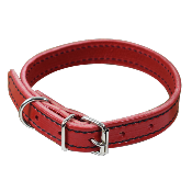 Collier de chien Rouge