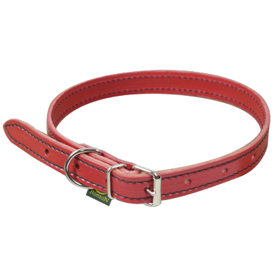 Collier de chien Rouge