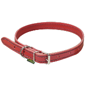 Collier de chien Rouge