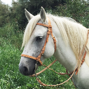 Bride Camargue