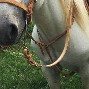 Martingale Camargue