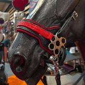 Hackamore Flower en Cuir et Feutre de Laine